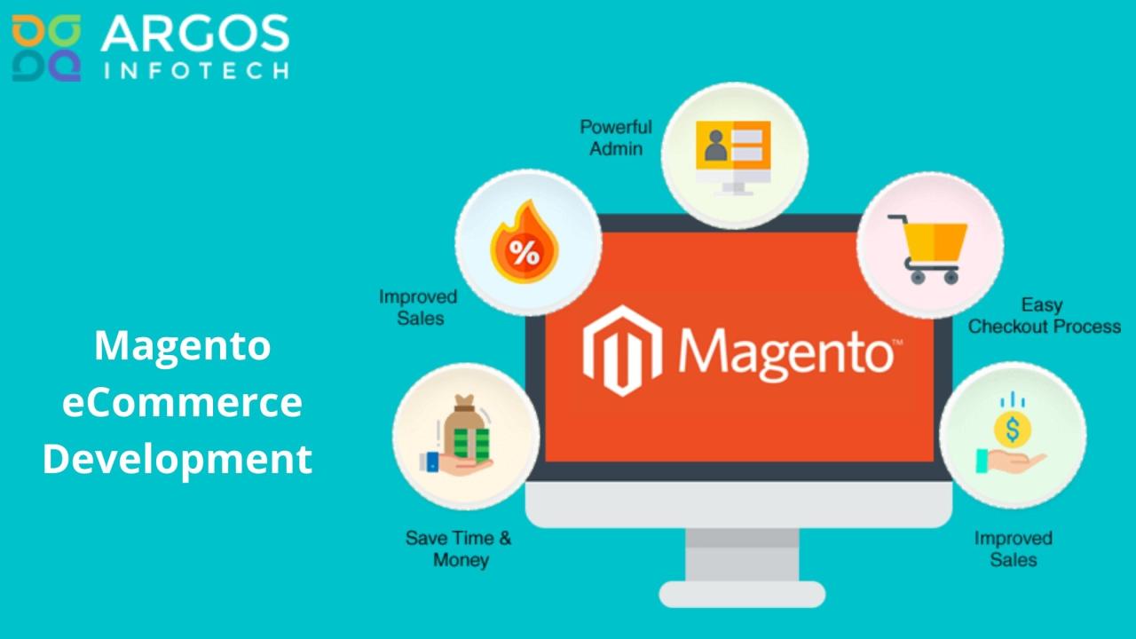 Ecommerce magento development