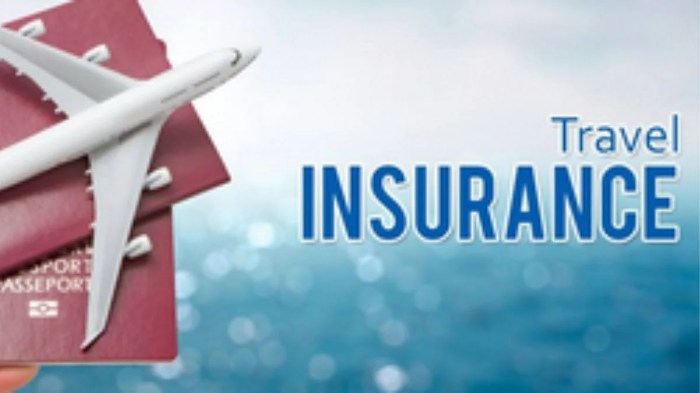 Tips For Choosing The Right International Travel Insurance Plan