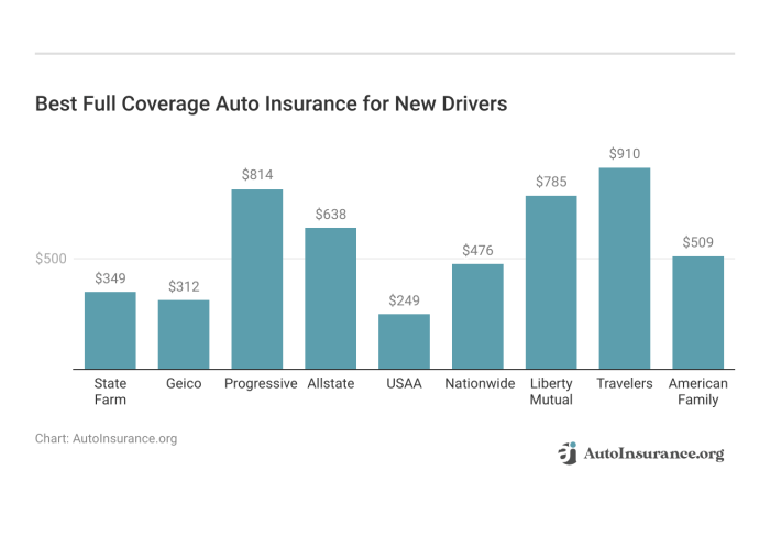 Car Insurance for New Drivers: A Comprehensive Guide