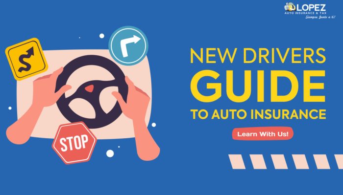 Best Auto Insurance for New Drivers in 2025 (Find the Top 9 Providers ...
