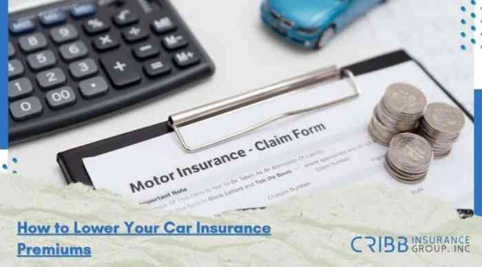 Ways On How To Lower Your Car Insurance Premiums – Cribb Insurance ... Ways On How To Lower Your Car Insurance Premiums – Cribb Insurance ...